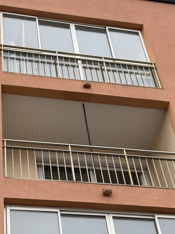 Pose de filet anti-pigeons avec ou sans ouverture